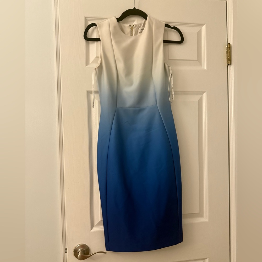 Calvin Klein Blue and White Sheath Dress Scoop Neck Sleeveless